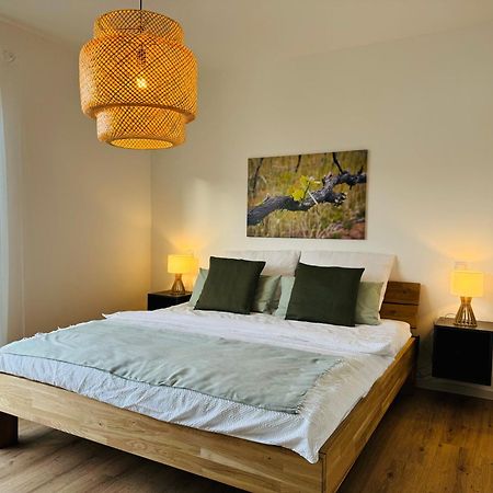 Moderne Ferienwohnung Mit Terrasse, Grill & Privatparkplatz Venningen Buitenkant foto